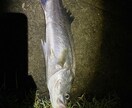 失敗しない最初の釣具選びと基礎アドバイスしますます 現役アングラーが優しく教える！初心者専門の釣りの相談室 イメージ2