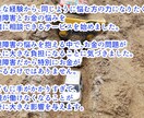 お金と発達障害のことでお困りの方のお話しを聞きます 子どもや夫が発達障害ですぐに相談できる人がいない方へ イメージ3