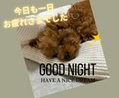 心が落ち着かない日…あなたに寄り添います 元気なふり、ここではしなくて大丈夫です☾·̩͙⋆ イメージ5