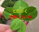 お話聞かせて頂きます どんな小さなことでも大丈夫です(*´ω｀*) イメージ2