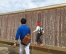 面会交流についてのお悩み相談を受け付けます 面会交流支援のプロが多数の経験から適切なアドバイスを致します イメージ1