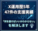 X運用スタートパック丸ごと作ります プロフィール＋固定ポスト＋投稿30本を一括納品 イメージ3
