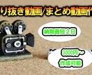 切り抜き動画作成します 【切り抜き動画作成】丸投げして下さい！ イメージ1