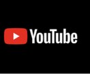 YouTubeをこれから始める方にコンサルします 登録者50万人以上のYouTuberのスタッフ・編集経験あり イメージ1