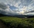 どんなお話でも聞きます コミュ障から営業経験10年の私だからこそ力になります。 イメージ2