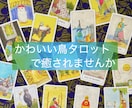かわいい鳥タロット占い、お話だけでも歓迎します 吐き出すだけでもスッキリしますよ！ イメージ2