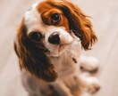 恋愛の悩みお聞きします 男心がわからない…私って本命なのかな…不安で眠れない イメージ10