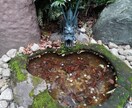 最善の人生を選択するお手伝いをします ペットの気持ち、ペットロスにも対応! イメージ2