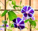 アダルトチルドレンのあなたの最大の味方になります 虐待経験者の私があなたと同じ痛みを分かち合います イメージ3