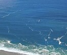 簡単な動画編集などします 安くても高品質な動画作成を心がけます！ イメージ1
