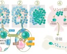 科学イラスト描きます 研究説明フィギュア～抽象概念イラストまで、幅広く イメージ2