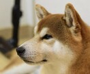毎日ツラいと感じている方…私が寄り添い癒します あなたはひとりではありません！心のもやもや吐き出しませんか？ イメージ9