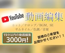あなたの希望通りに編集致します 今なら15分までの動画がなんと3000円で！！ イメージ1