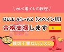 DELE受験後の不安解消｜丁寧にフィードバックます 面接・作文を丁寧にフィードバックします イメージ1