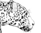 可愛いくてかっこいい動物のイラストを描きます シンプルな線画ではがきや年賀状、SNS等のアイコンにも！ イメージ5