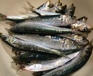 間違いない！失敗しない釣りの仕掛け釣り方を教えます 子供と釣りの楽しみたいお父さんへ！ イメージ1