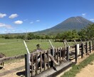 愚痴、悩み、不安、聞きます あなたの悩み私に教えてくれませんか？ イメージ1
