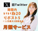 X1ヶ月間「いいね20+RP5」しますます 日本人の一般アカウントの方々がいいねしていきます イメージ1