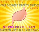 リピーター様限定★SS健康法で胃腸を健康にします ぽっこりお腹の解消に。姿勢の矯正にも役立ちます。 イメージ2