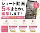 ショート動画5本まとめて編集します 月5本でSNS運用をサポート！ イメージ1
