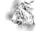 モノクロイラスト描きます ご希望のモチーフでモノクロイラスト作成します。 イメージ2