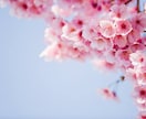 最長3ヶ月★テキストチャットで自己分析します じっくりじっくり丁寧に自己分析したい方へ。 イメージ1