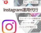 Instagram運用代行します 始めやすい安価で丁寧なインスタグラム運用代行！ イメージ1