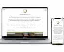 Shopifyで売上の見込める越境ECを制作します 初心者でも安心★ヒアリング重視・要望に沿って柔軟に対応可能 イメージ6