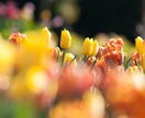 悩みすぎてもう自分が分からない！リーディングします 今の自分★今日の自分★これからの自分へ必要なお言葉をお届け♪ イメージ2
