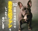 モニター募集中✨インスタ✨本物のファンを増やします 30日間運用代行✨集客力UP✨あなた専用の唯一無二のサービス イメージ1
