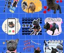 ペット•お子さまのLINEスタンプ作成します ついつい毎日使いたくなる個性溢れるLINEスタンプ イメージ2