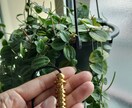 ペンデュラムを使ってお悩みにお答えします ペンデュラムを使ったお悩み相談 イメージ1