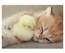 お試し1分から☆まずは聞きます、聴きます 利かせます、そして今から、明日に効きます！ イメージ2