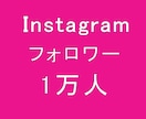 Instagramフォロワー1万人以上増やします 【保証付】インスタグラムフォロワー宣伝します！ イメージ1