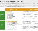 新規事業の事業計画書作成や資金調達お手伝いをします 事業売却を幾つも経験したコンサル会社13年の代表が直接指導！ イメージ10