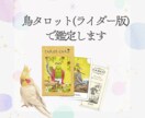 タロット質問1つ+ご希望のヒーリングをします 寄り添い鑑定+どんな結果でも好転するようなヒーリングをします イメージ2