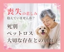 喪失の苦しみを抱えている人のお話聞きます 大切な存在との別れ、死別、ペットロスの苦しみに寄り添います イメージ1
