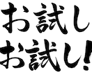 お試し版！1500文字の記事を簡単発注で作成します 法人様にも好評！SEOに強い記事のお試し版！3000文字も可 イメージ5