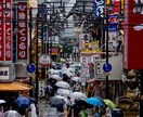 写真関連の相談なんでものります 人物風景ペットの撮影、カメラ機材など幅広く！まずはご相談から イメージ4