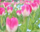 なんでも相談♪ちょっと聞いて〜というお話伺います 5分だけお試しもOK！看護師兼カウンセラーに話してみて♪ イメージ2