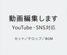 動画編集YouTube・SNS対応／初心者歓迎ます カット編集や簡単なテロップ、bgmなど簡単な動画が得意です イメージ1