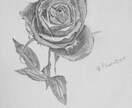 鉛筆でご依頼されたお花の絵を描きます 素人の模写作品です。本気で描かせていただきます。 イメージ3