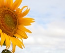 17日中に鑑定♡霊視×霊感タロット人間関係を視ます あなたの人間関係を深く視ていきます♡ イメージ13