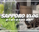 1枚2000円～対応◎伸びるサムネイルを制作します 動画本数6本でYouTube収益化達成の実績有り イメージ9