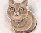 用途に合わせたイラストを作成します アイコン、グッズ作成、動画などあなたの用途に合わせた一枚を イメージ3