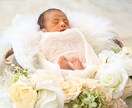 ニューボーンフォト撮影いたします 花屋さんならではの手作りのお花を使った写真を得意としています イメージ2