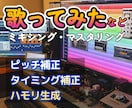 48時間以内に！新規の方オプション一つおまけします 歌ってみた・Vtuber・ボーカロイド・楽器のパラデータも！ イメージ1