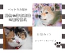 アニマルコミュニケーションします その行動、ちゃんと理由があります イメージ1