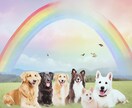 ペットロスの悲しみに寄り添います 愛玩動物看護師の経験のある私が、つらい気持ちを受け止めます イメージ1