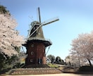 風景写真に桜吹雪を追加します 写真編集歴3年｜特別な1枚を作ります！ イメージ3